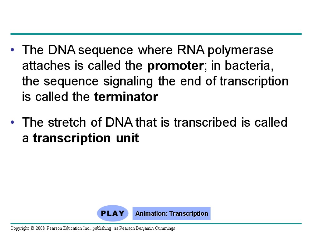 The DNA sequence where RNA polymerase attaches is called the promoter; in bacteria, the